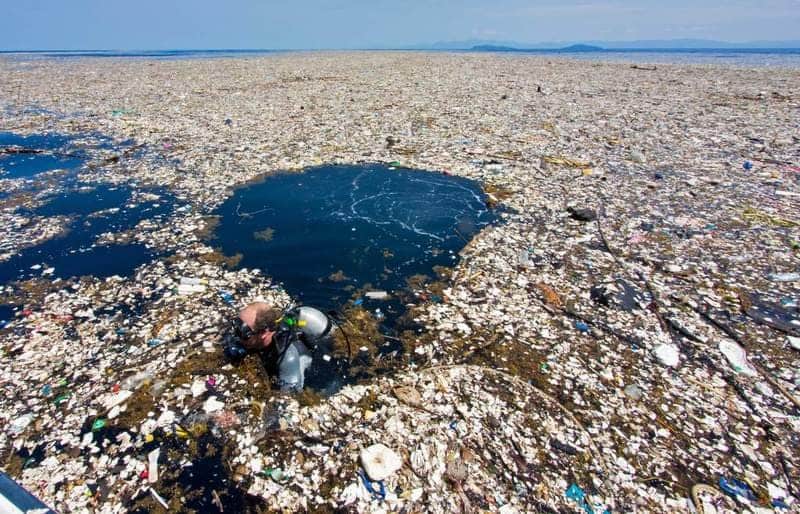 Большое тихоокеанское мусорное пятно